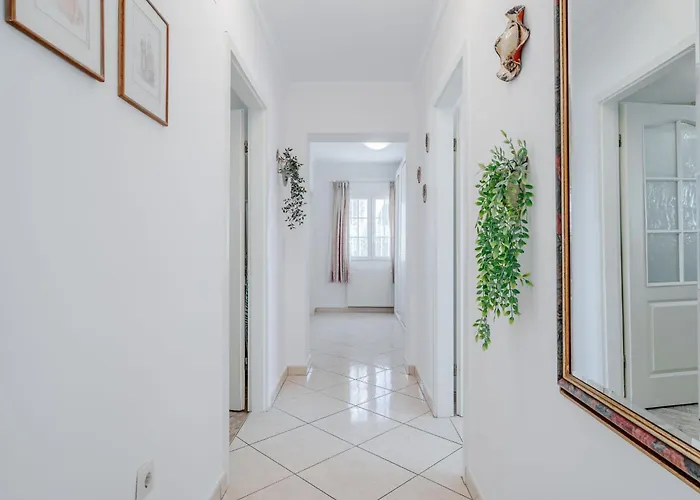 Heringklee By Interhome * קלפה